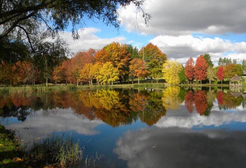 צימר Cedar Garden