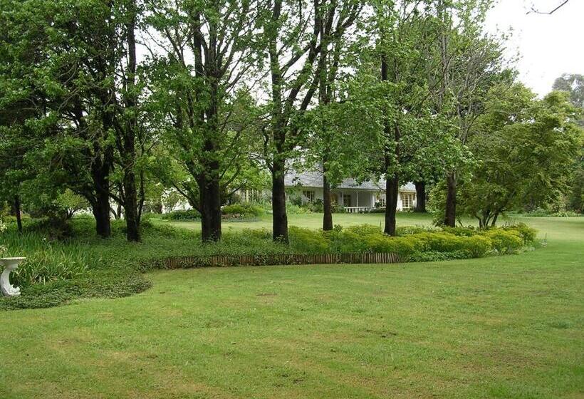 צימר Cedar Garden