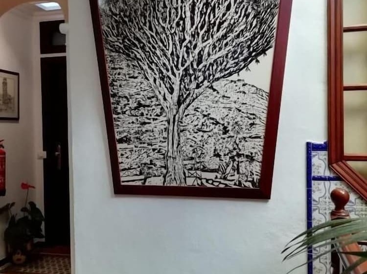 هتل Drago San Antonio