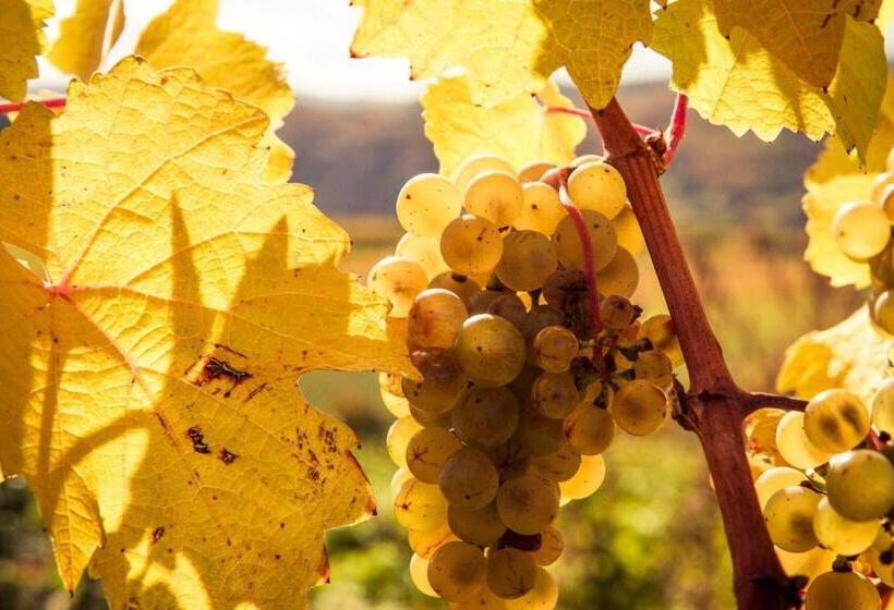 مبيت وإفطار Weinberghof Ilkerl Luf