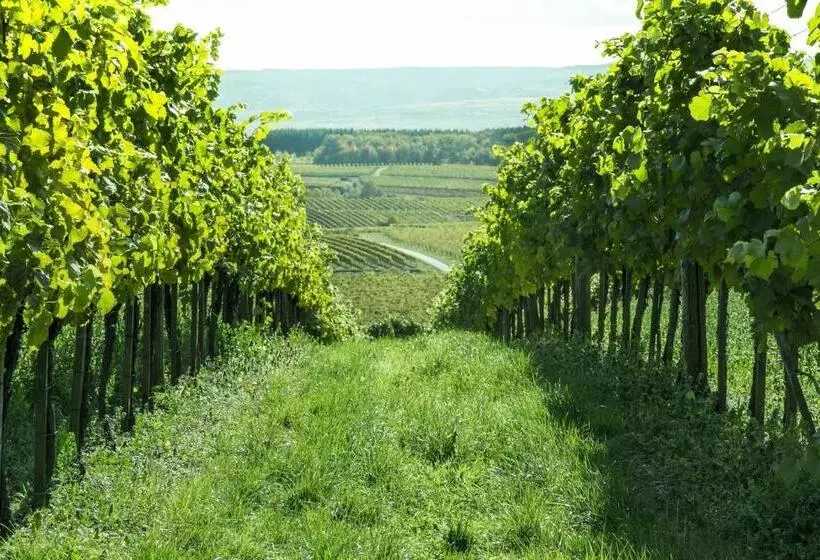 Aamiaismajoitus (B&B) Weinberghof Ilkerl Luf
