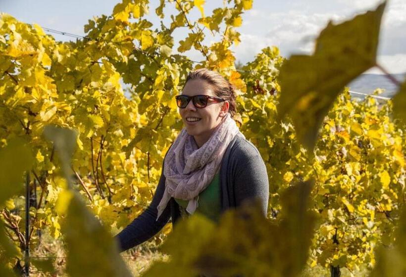 مبيت وإفطار Weinberghof Ilkerl Luf