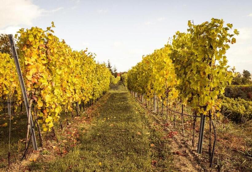 مبيت وإفطار Weinberghof Ilkerl Luf