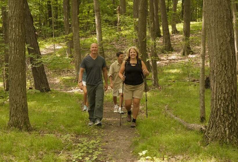 Hidden Serenity Bed And Breakfast