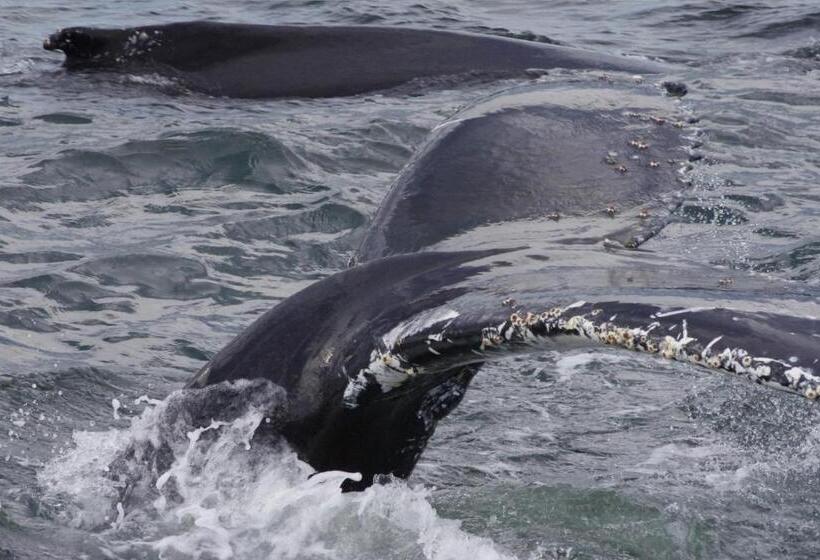 فندق Auberge La Tanière