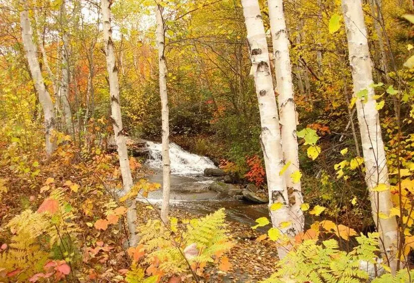 ホテル Auberge La Tanière