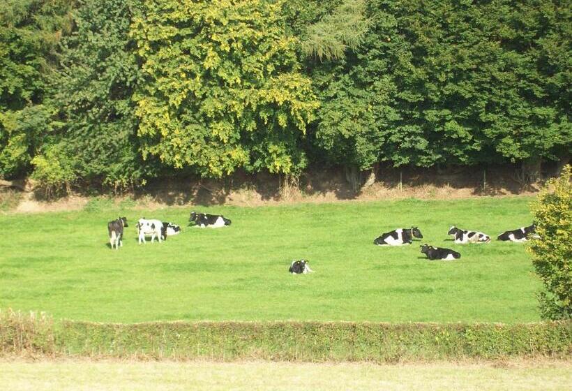 فندق B&b Vouwere