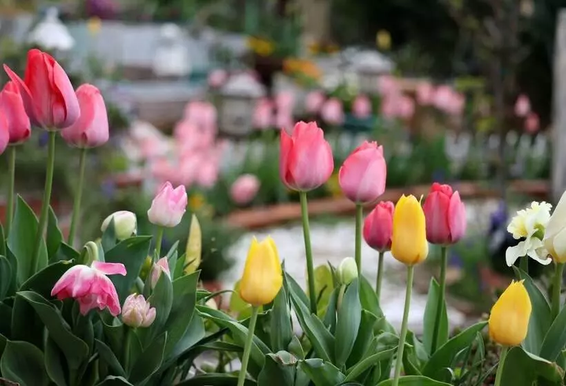ホテル Parterre