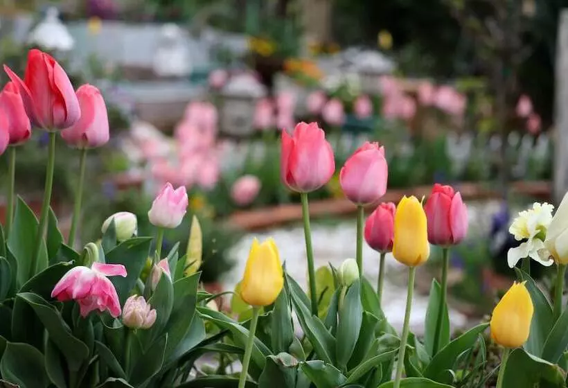 ホテル Parterre