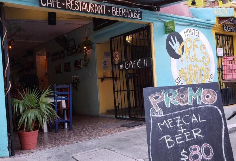 Tres Mundos Hostel