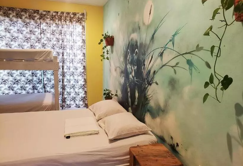 Tres Mundos Hostel