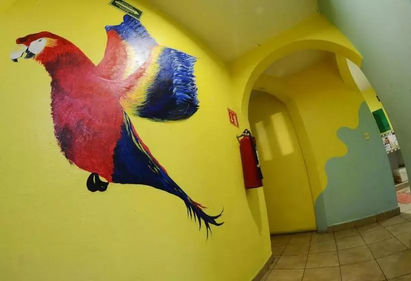Tres Mundos Hostel