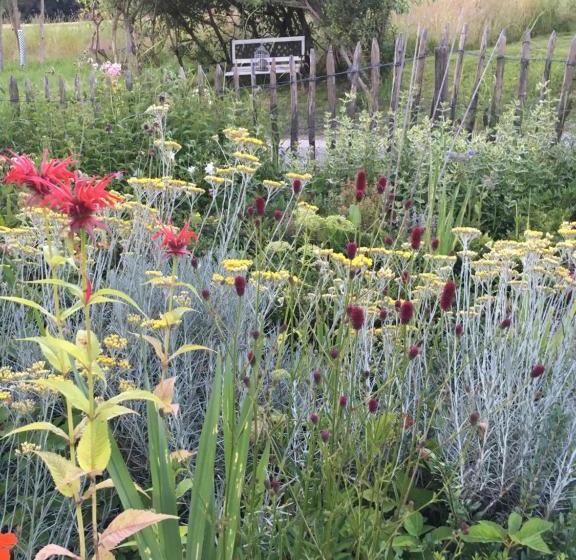 مبيت وإفطار Bnb Im Waldhof