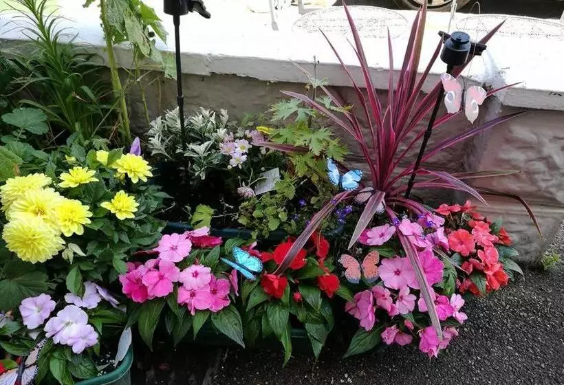 Aamiaismajoitus (B&B) The Albany Rooms Bexhill