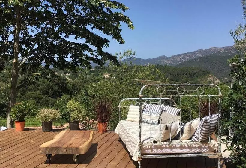 Aamiaismajoitus (B&B) Casa Santa Lucia