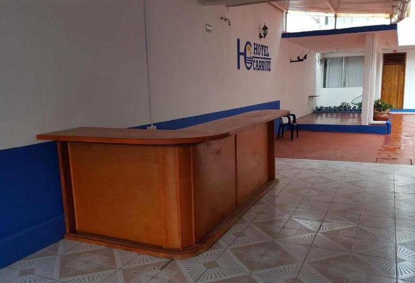 酒店 Carruiz
