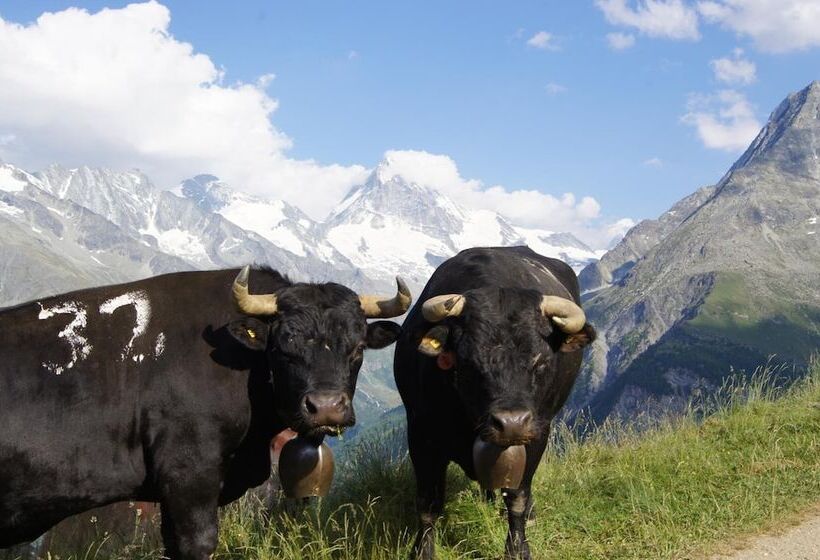 酒店 Hôtel Des Haudères