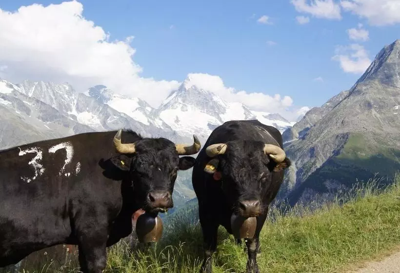 Hotelli Hôtel Des Haudères