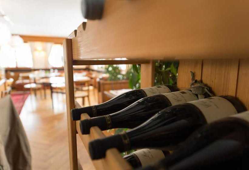 酒店 Hôtel Des Haudères