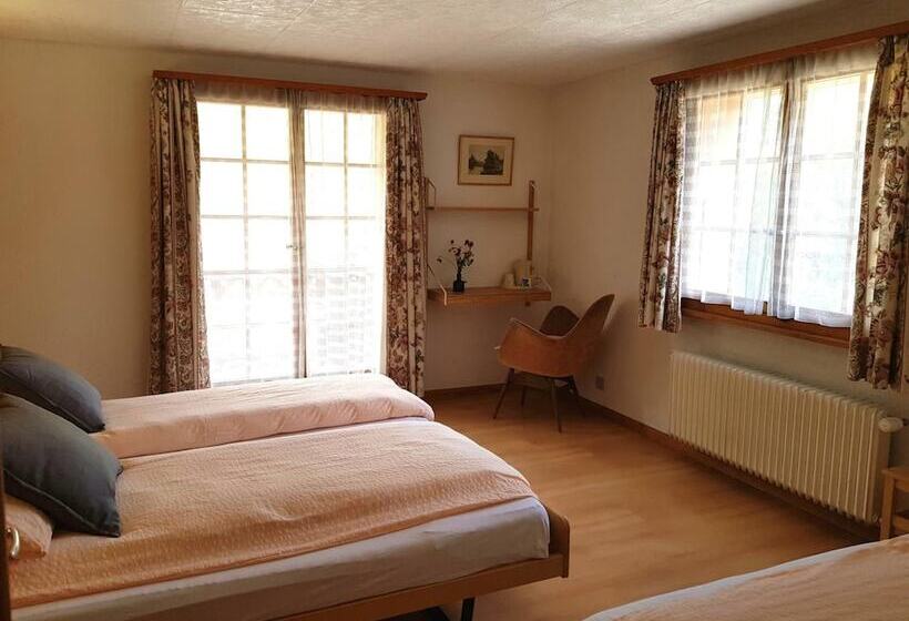 酒店 Hôtel Des Haudères