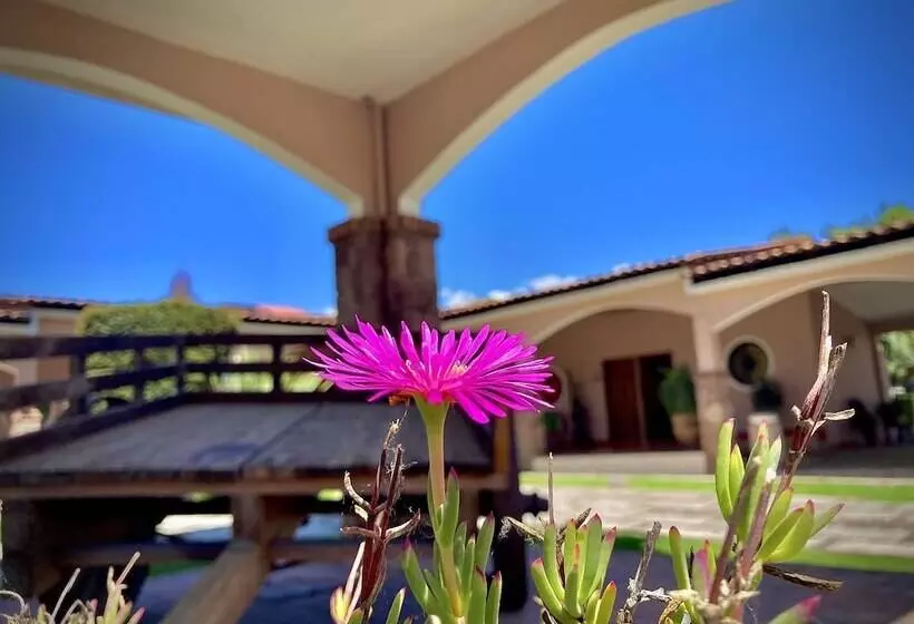 ホテル Ojo De Agua