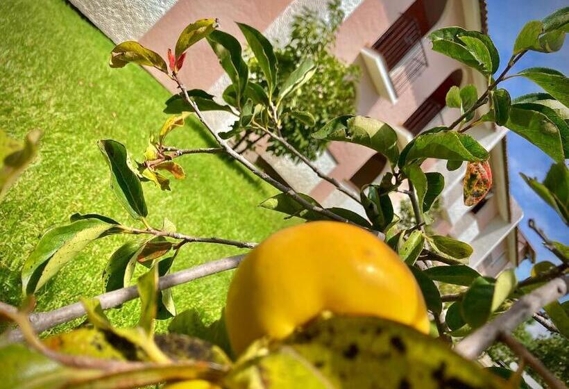 فندق Ojo De Agua