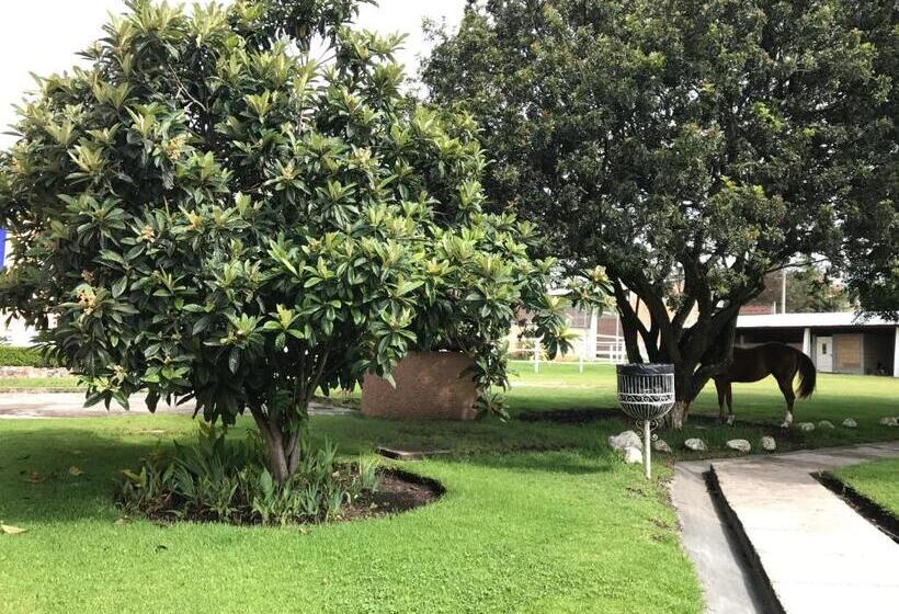 فندق Ojo De Agua