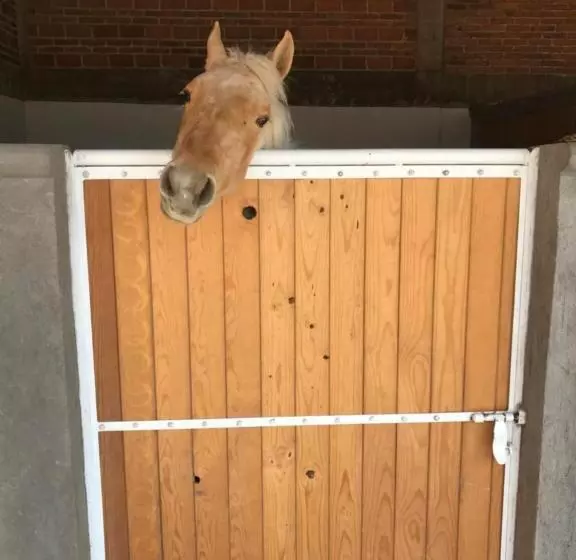 ホテル Ojo De Agua