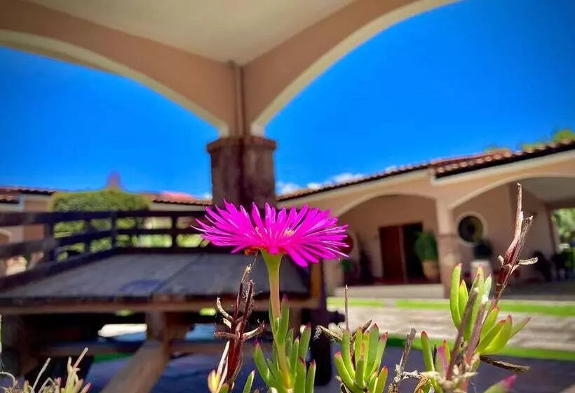 ホテル Ojo De Agua