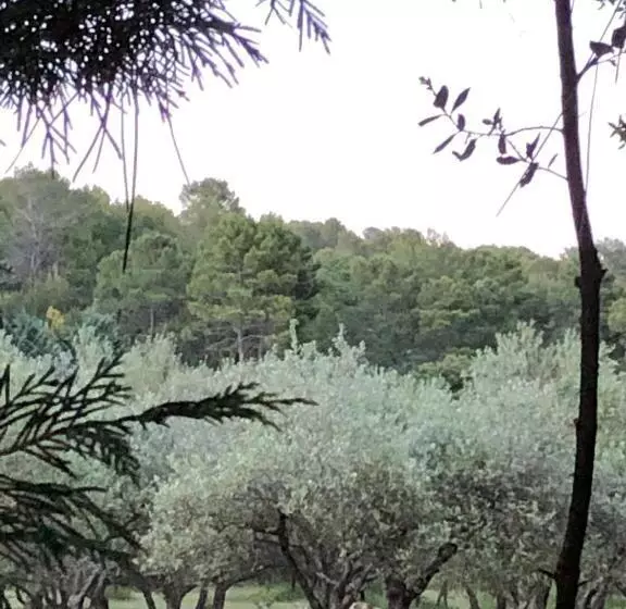 Aamiaismajoitus (B&B) Longo Maï