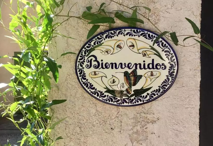 Aamiaismajoitus (B&B) Longo Maï