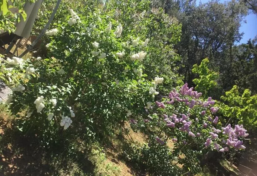 Aamiaismajoitus (B&B) Longo Maï