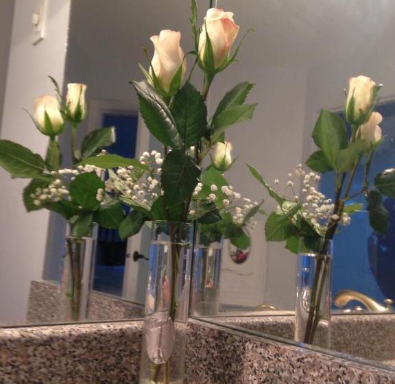 Donna's Bed & Breakfast