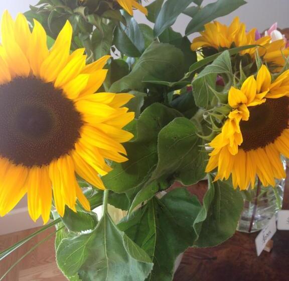 Donna's Bed & Breakfast