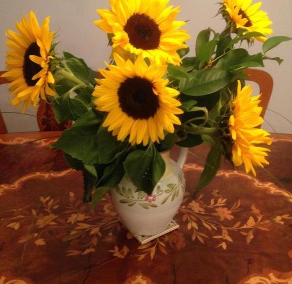 Donna's Bed & Breakfast