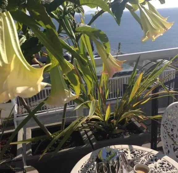 Donna's Bed & Breakfast