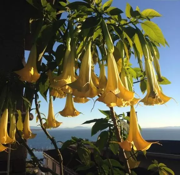 Donna's Bed & Breakfast