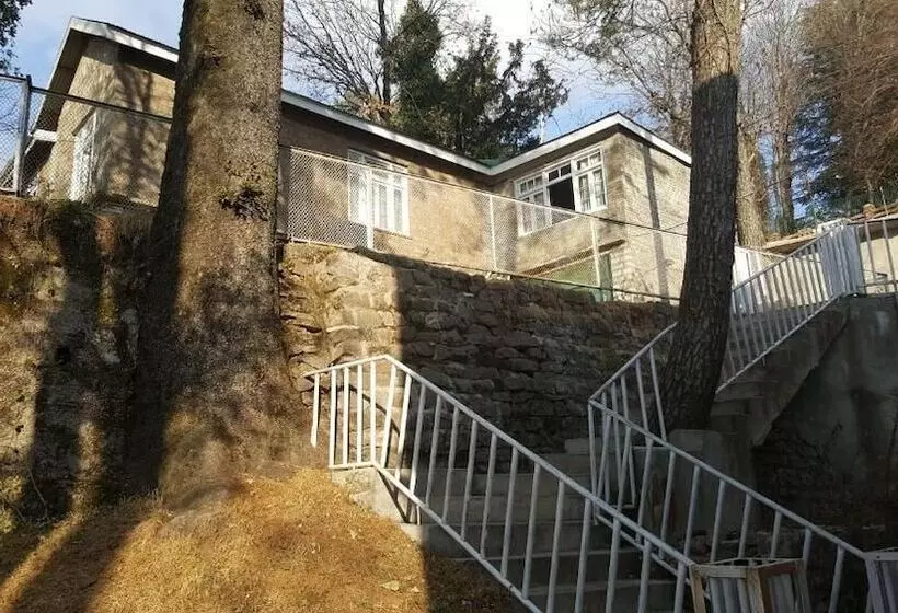 هتل Pine Top