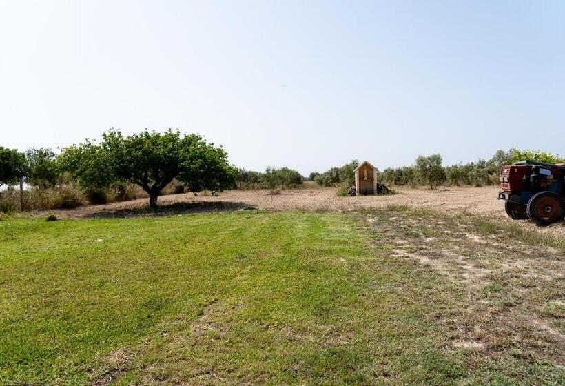 B&b L Uliveto Rooms & Pool