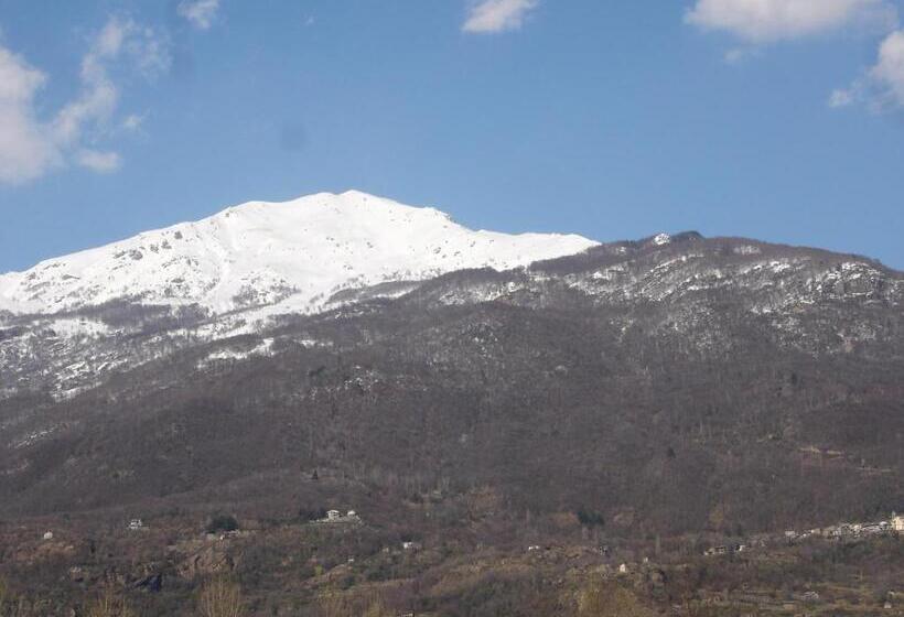 Bed And Breakfast L'albero Maestro