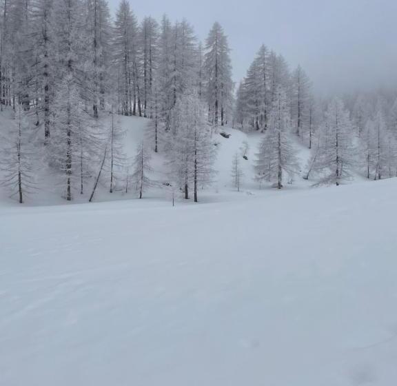 Bed And Breakfast L'albero Maestro