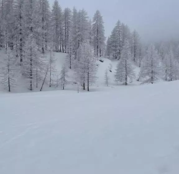 Bed And Breakfast L'albero Maestro