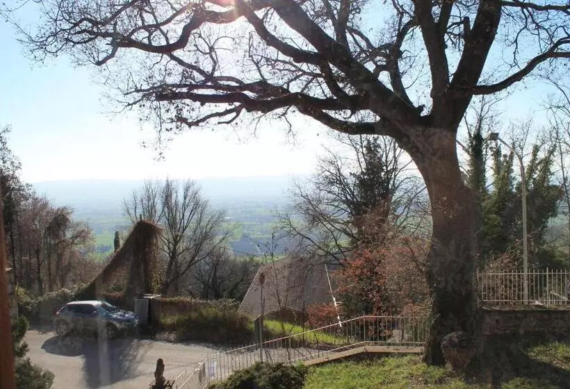 Aamiaismajoitus (B&B) Sogni D'assisi