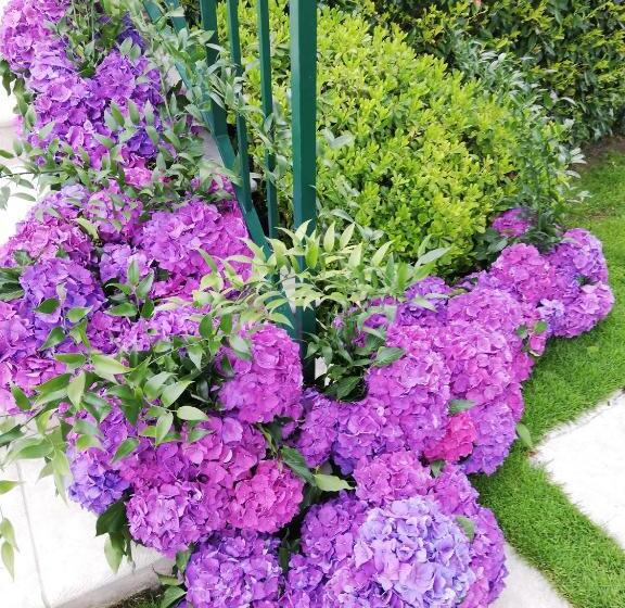 Отель Hôtel Bellevue