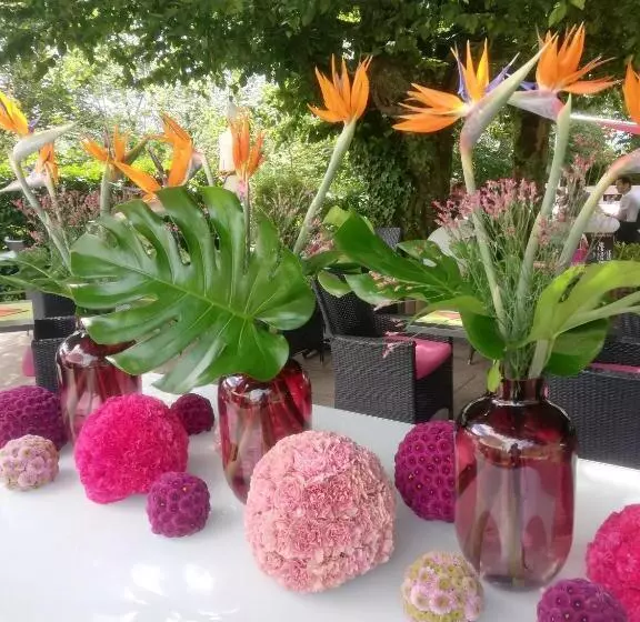 Hotel Hôtel Bellevue