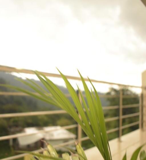 酒店 Nature's View