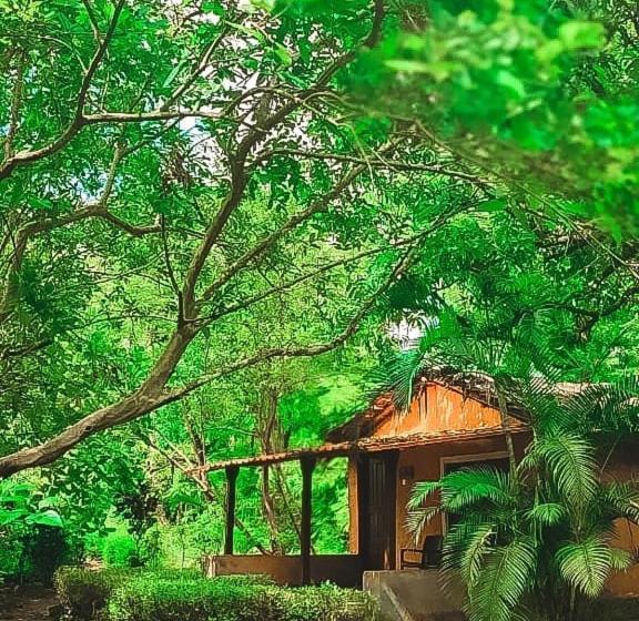 Nature S Nest Eco Resort Goa, Near Dudhsagar Waterfalls