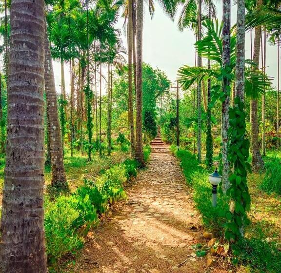 Nature S Nest Eco Resort Goa, Near Dudhsagar Waterfalls