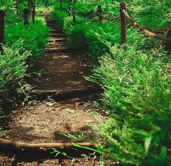 Nature S Nest Eco Resort Goa, Near Dudhsagar Waterfalls