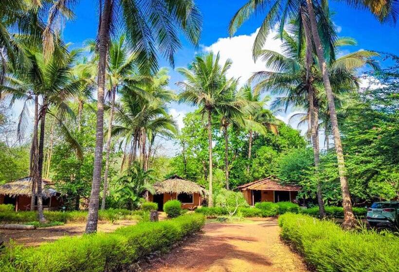 Nature S Nest Eco Resort Goa, Near Dudhsagar Waterfalls